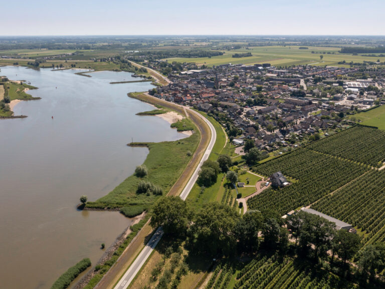 Goudreinet – Ameide
