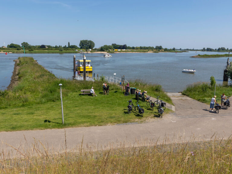 Goudreinet – Ameide